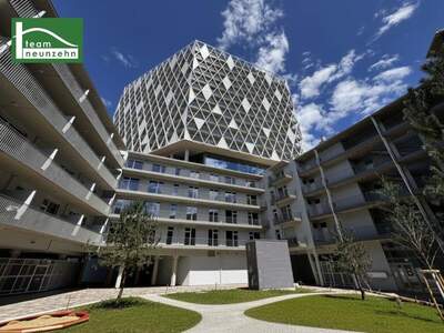 Terrassenwohnung mieten in 8020 Graz (Bild 1)