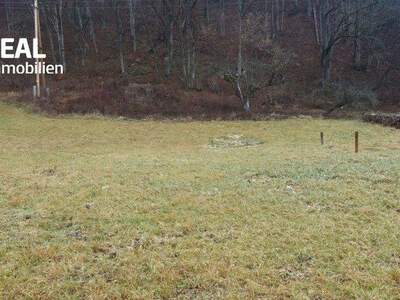 Grundstück kaufen in 8114 Großstübing (Bild 2)