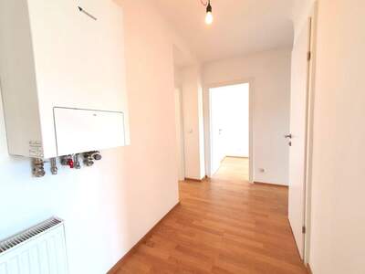 Wohnung kaufen in 1100 Wien (Bild 4)