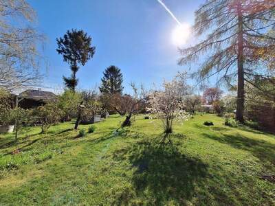 Haus kaufen in 1220 Wien (Bild 5)