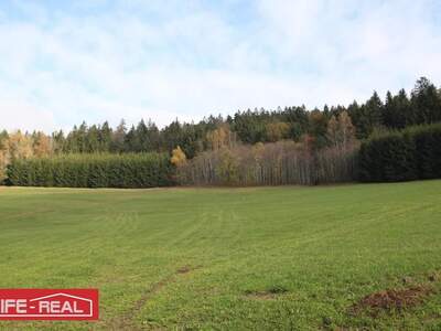 Grundstück kaufen in 4170 Haslach