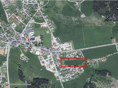 Grundstück kaufen in 4251 Sandl (Bild 3)