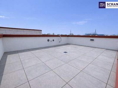 Terrassenwohnung kaufen in 2514 Traiskirchen (Bild 1)