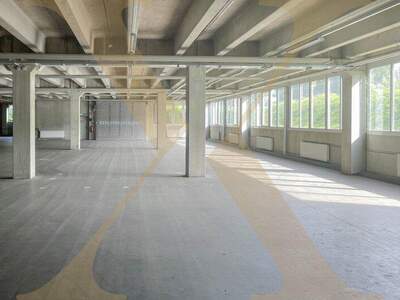 Halle / Lager / Produktion mieten in 4020 Linz