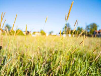 Grundstück kaufen in 4493 Wolfern