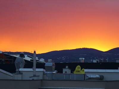 Office / Business provisionsfrei mieten in 1020 Wien