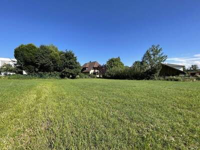 Grundstück kaufen in 4893 Zell (Bild 2)
