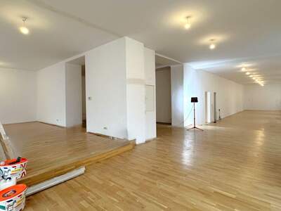 Gewerbeobjekt mieten in 1090 Wien (Bild 4)