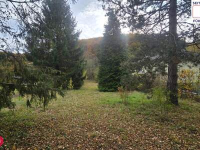 Grundstück kaufen in 3400 Maria Gugging (Bild 4)