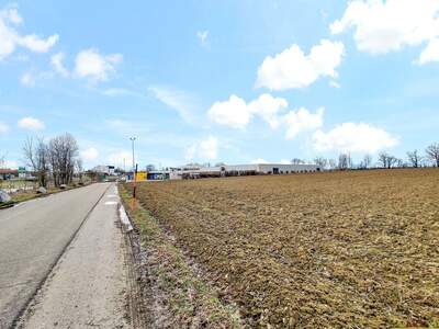 Grundstück mieten in 4975 Suben (Bild 5)