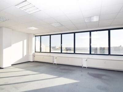 Büro / Praxis mieten in 1230 Wien (Bild 5)