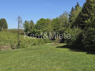 Einfamilienhaus kaufen in 8410 Wildon (Bild 5)