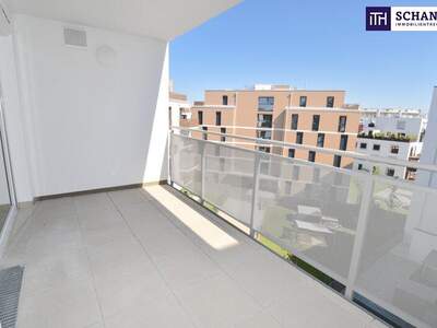 Terrassenwohnung mieten in 2320 Schwechat (Bild 1)