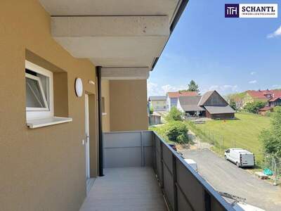 Terrassenwohnung kaufen in 8401 Kalsdorf (Bild 3)