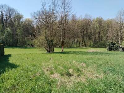 Grundstück kaufen in 4073 Wilhering (Bild 3)
