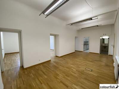 Gewerbeobjekt mieten in 1030 Wien (Bild 4)