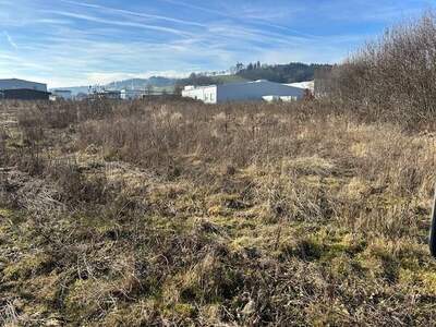 Gewerbegrundstück kaufen in 4702 Wallern