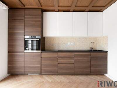 Terrassenwohnung mieten in 1230 Wien (Bild 4)