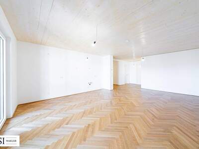 Anlageobjekt kaufen in 1020 Wien