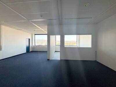 Gewerbeobjekt mieten in 2351 Wiener Neudorf (Bild 2)