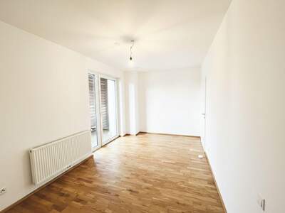 Terrassenwohnung mieten in 3140 Pottenbrunn (Bild 4)