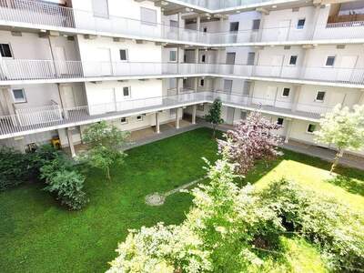 Wohnung provisionsfrei mieten in 8010 Graz