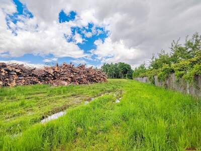 Gewerbeobjekt kaufen in 8141 Oberpremstätten (Bild 4)