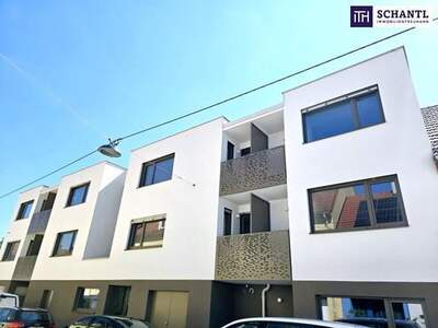 Wohnung kaufen in 1230 Wien