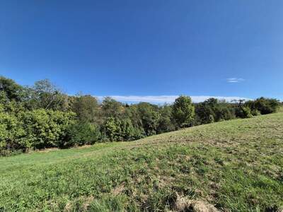 Grundstück kaufen in 8350 Fehring (Bild 5)