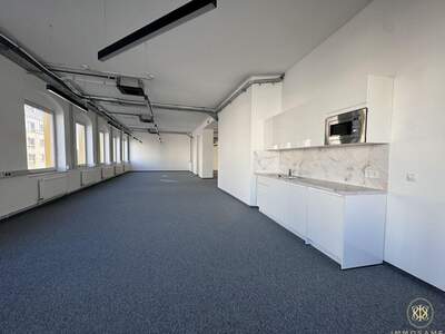 Gewerbeobjekt mieten in 1100 Wien (Bild 3)