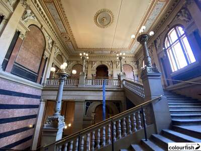Gewerbeobjekt mieten in 1010 Wien (Bild 2)