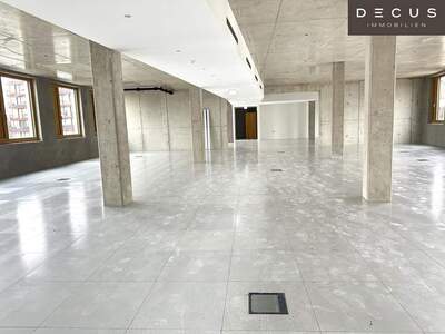 Gewerbeobjekt mieten in 1230 Wien
