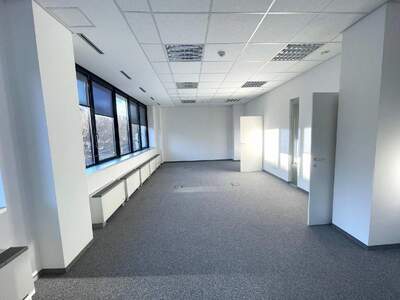 Gewerbeobjekt mieten in 1020 Wien (Bild 3)