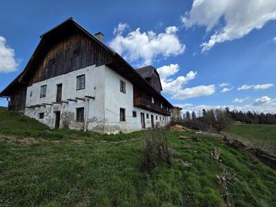 Gewerbeobjekt kaufen in 9112 Griffen (Bild 2)