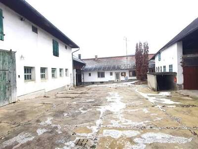 Haus kaufen in 2020 Hollabrunn