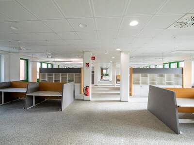 Gewerbeobjekt mieten in 1220 Wien (Bild 4)