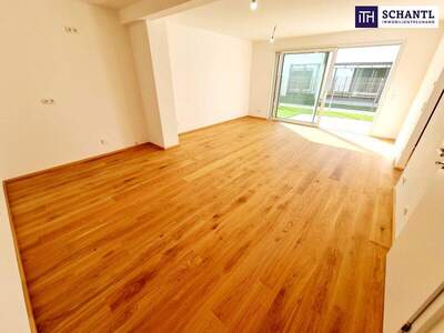 Terrassenwohnung kaufen in 1230 Wien (Bild 1)