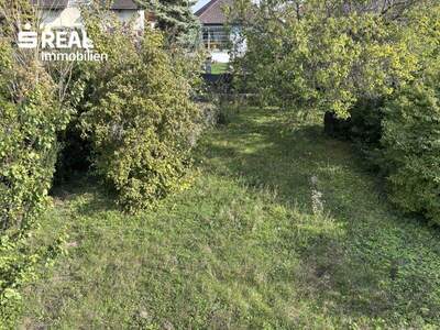 Haus kaufen in 2201 Gerasdorf (Bild 5)