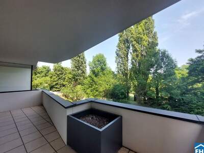 Apartment provisionsfrei mieten in 1100 Wien