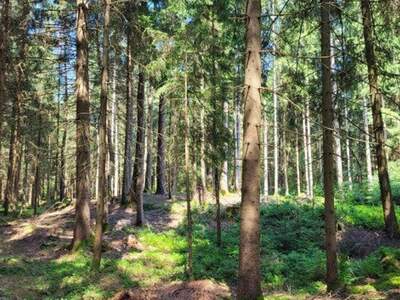 Immobilie kaufen in 83317 Teisendorf (Bild 1)