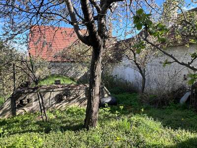 Haus mit Garten kaufen in 7091 Breitenbrunn (Bild 3)