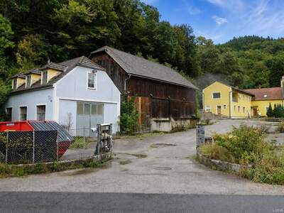 Gewerbeobjekt kaufen in 3394 Wolfstein