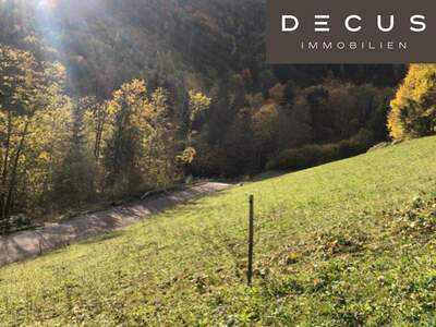 Grundstück kaufen in 3211 Loich (Bild 4)