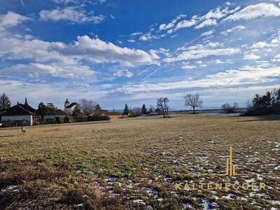 Grundstück kaufen in 2722 Weikersdorf (Bild 5)