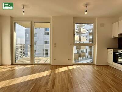 Wohnung mieten in 1220 Wien