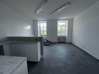 Gewerbeobjekt mieten in 1190 Wien (Bild 4)