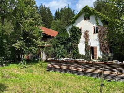 Haus kaufen in 4272 Harrachstal