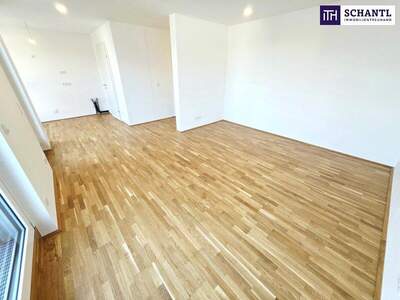 Terrassenwohnung kaufen in 1220 Wien (Bild 2)