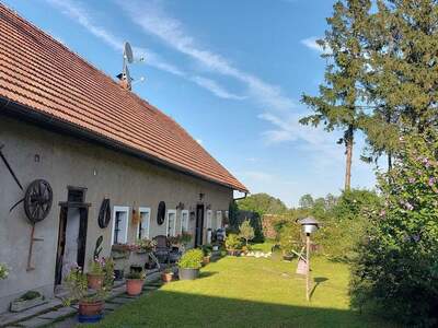 Gewerbeobjekt kaufen in 4600 Wels (Bild 1)