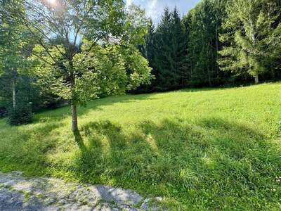 Grundstück kaufen in 8962 Gröbming